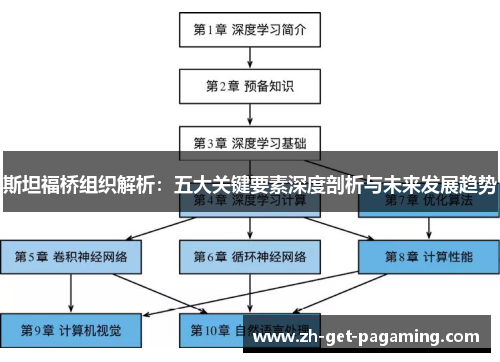 斯坦福桥组织解析：五大关键要素深度剖析与未来发展趋势