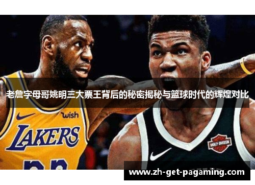 老詹字母哥姚明三大票王背后的秘密揭秘与篮球时代的辉煌对比