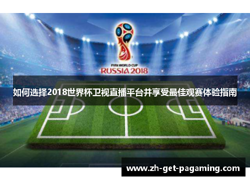 如何选择2018世界杯卫视直播平台并享受最佳观赛体验指南
