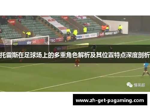 托雷斯在足球场上的多重角色解析及其位置特点深度剖析
