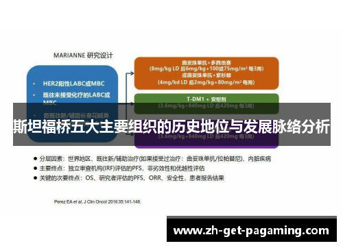斯坦福桥五大主要组织的历史地位与发展脉络分析 斯坦福桥五大主要组织的历史地位与发展脉络分析