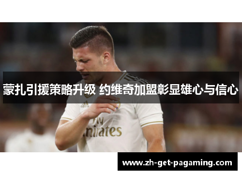 蒙扎引援策略升级 约维奇加盟彰显雄心与信心